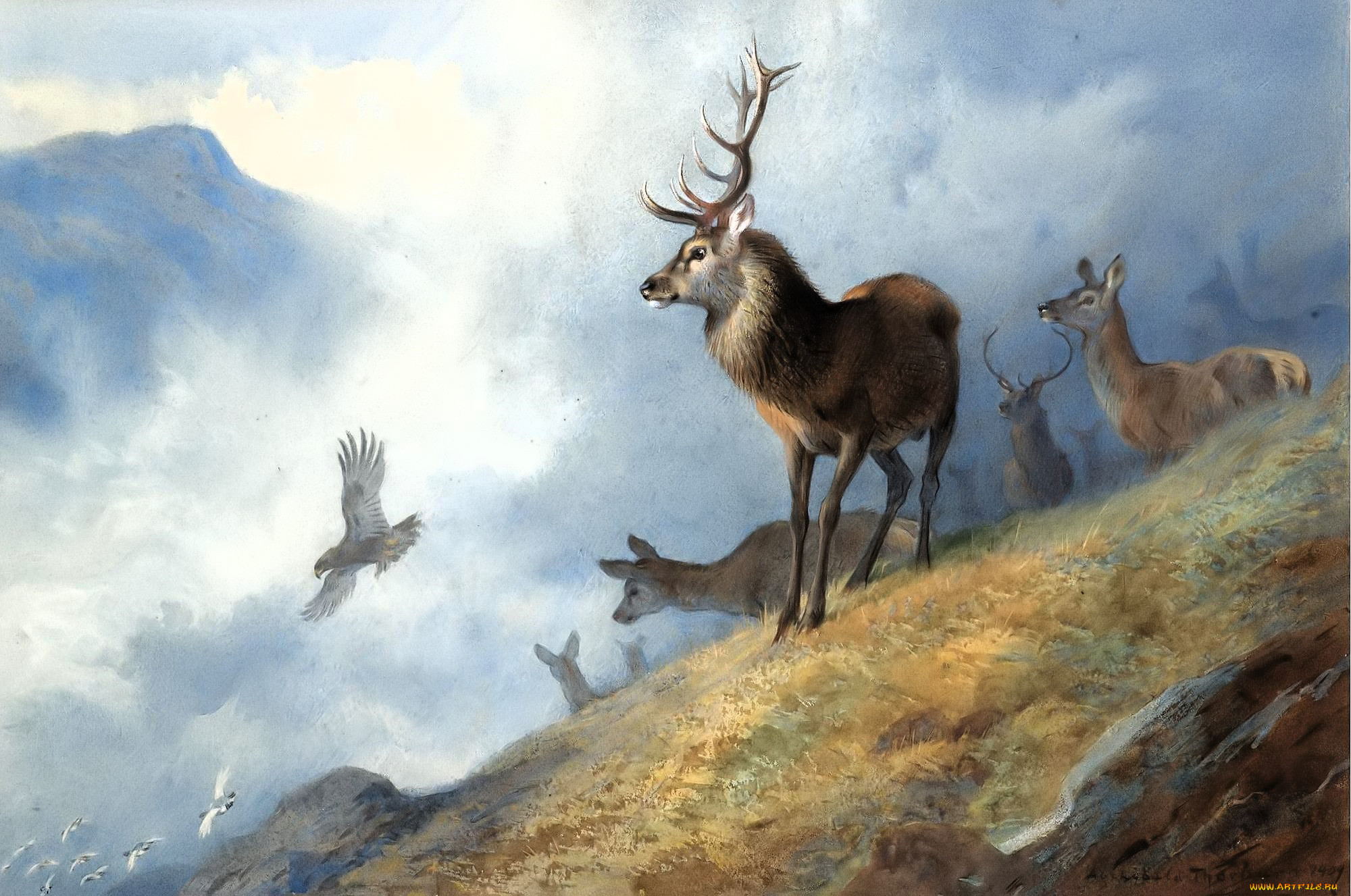 , archibald thorburn, , , , 